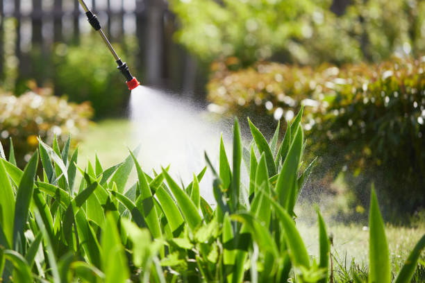24/7 Emergency Mosquito Control experts in Bardstown, KY